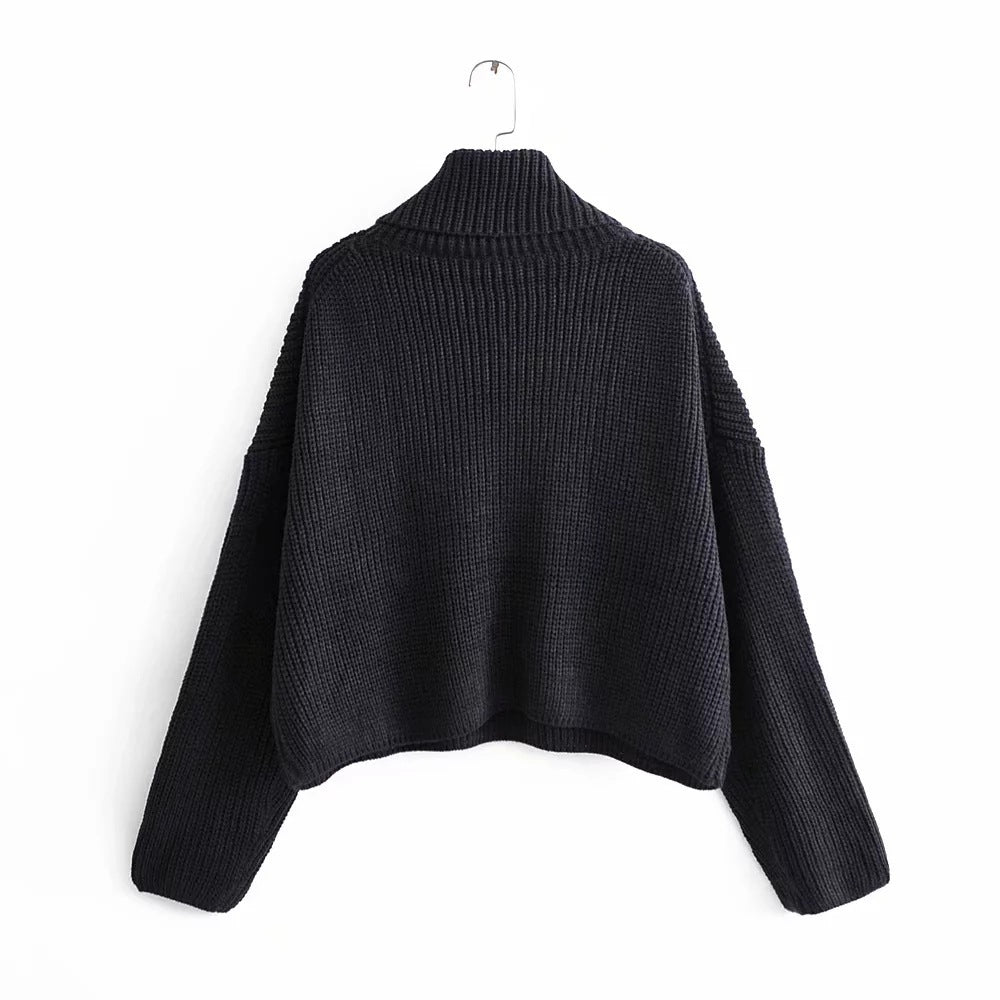 Nova Chunky Knit Turtleneck Sweater