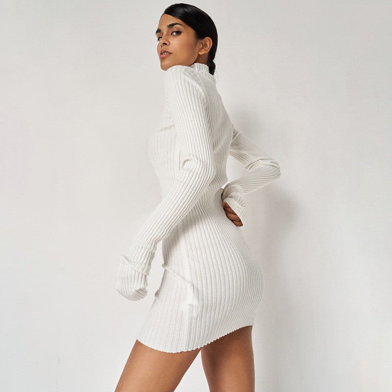 Chic Ribbed Knit Turtleneck Long Sleeve Bodycon Mini Dress