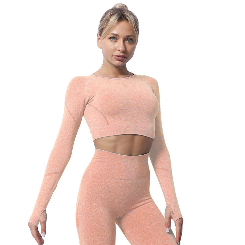 Excellent Craftsmanship Seamless Knit Yoga Fitness Crop Top and Leggings Set