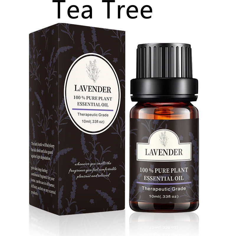 Pure Eucalyptus Essential Oil - 10ml - 3 Pcs