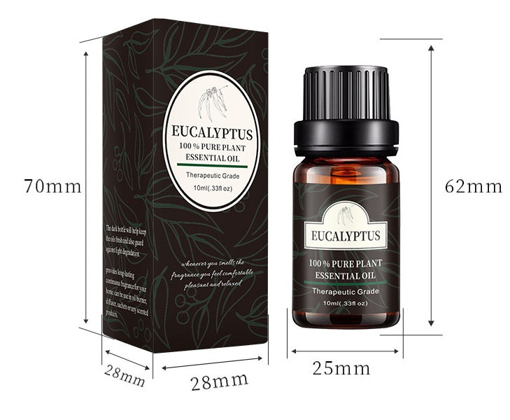 Pure Eucalyptus Essential Oil - 10ml - 3 Pcs