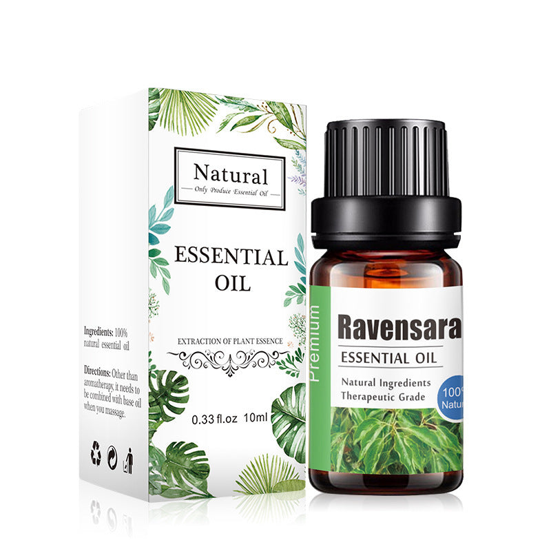 Premium Natural Essential Oils for Aromatherapy