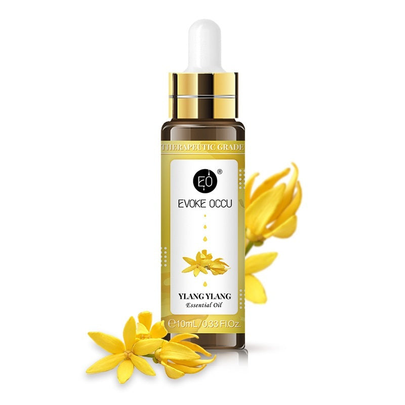 Pure Aromatherapy Essential Oil 10ml - 3Pcs