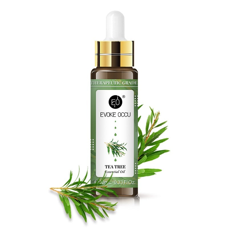 Pure Aromatherapy Essential Oil 10ml - 3Pcs