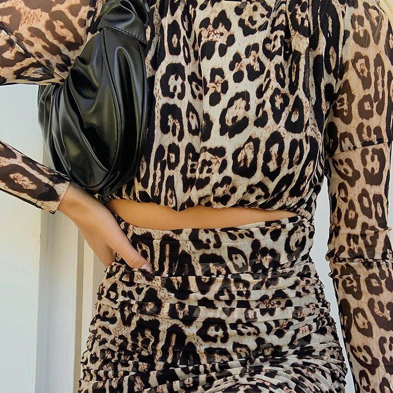 Chic Leopard Print Mesh Long Sleeve Bodycon Mini Dress with Stylish Waist Cutouts