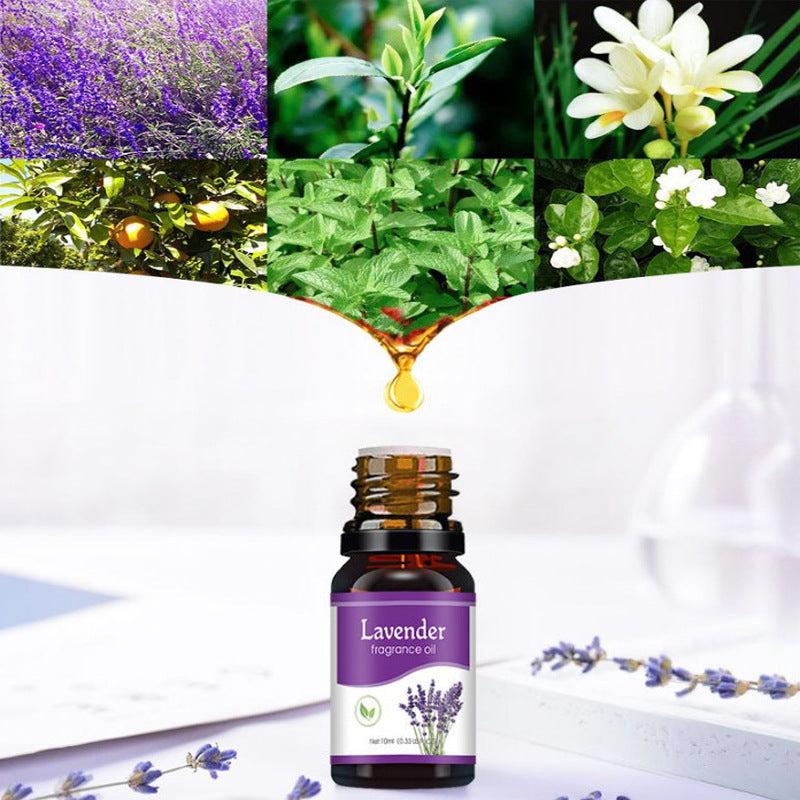 Aromatherapy Essential Oil for Diffusers
