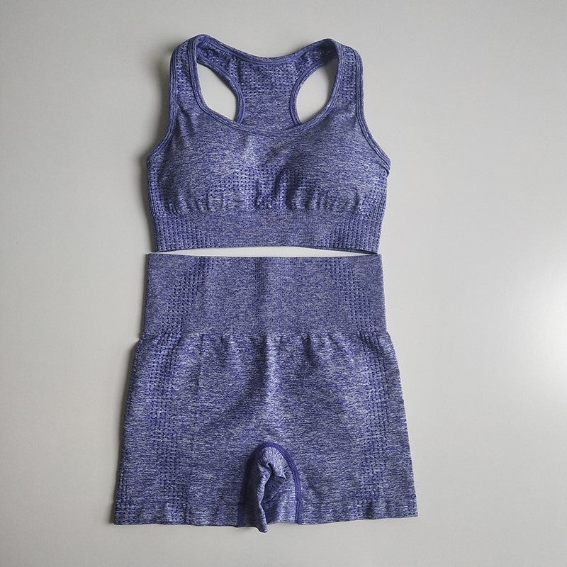 Seamless Knit Sports Bra and High-Waisted Shorts Activewear Set