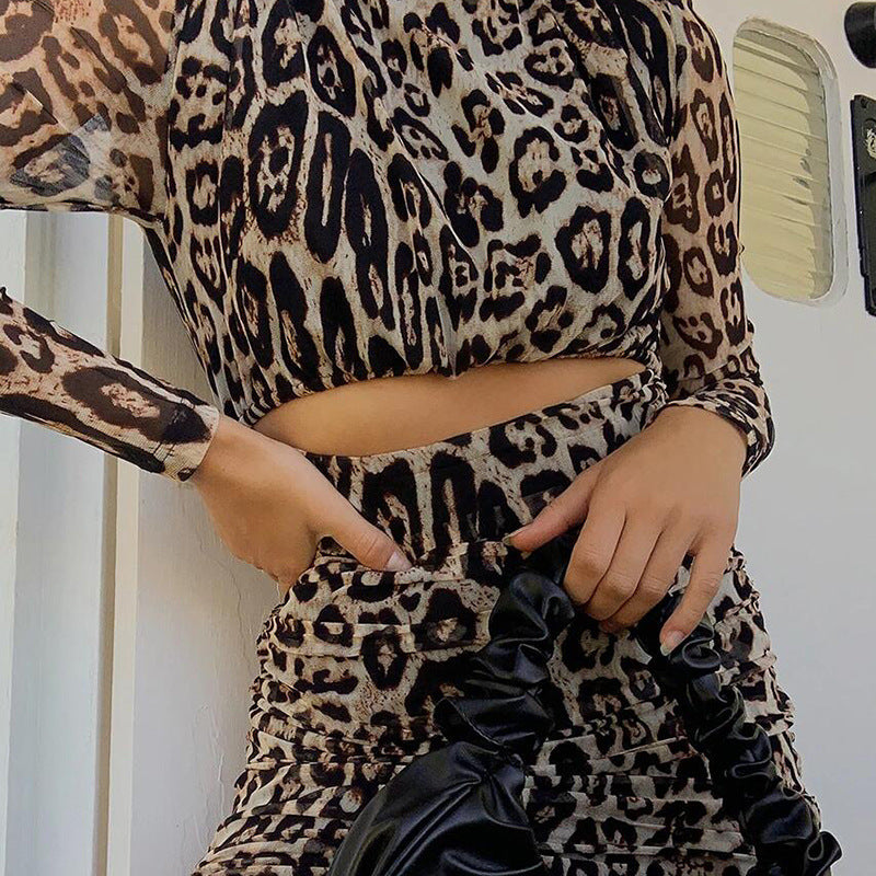 Chic Leopard Print Mesh Long Sleeve Bodycon Mini Dress with Stylish Waist Cutouts
