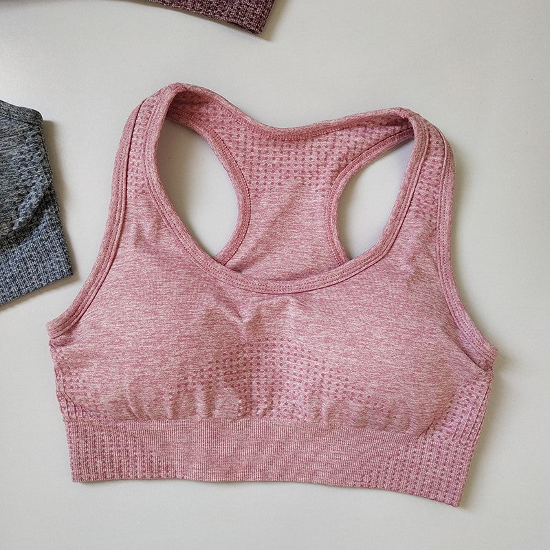 Seamless Knit Sports Bra and High-Waisted Shorts Activewear Set
