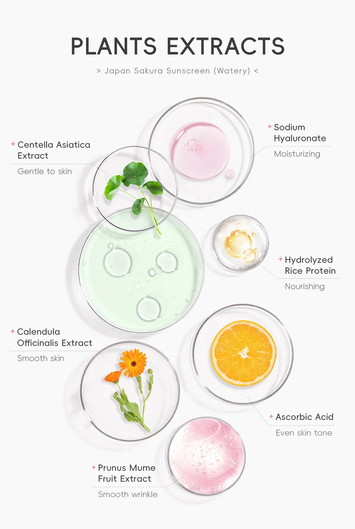 Protective Makeup Primer Moisturizing Skin Care Products - 10Pcs