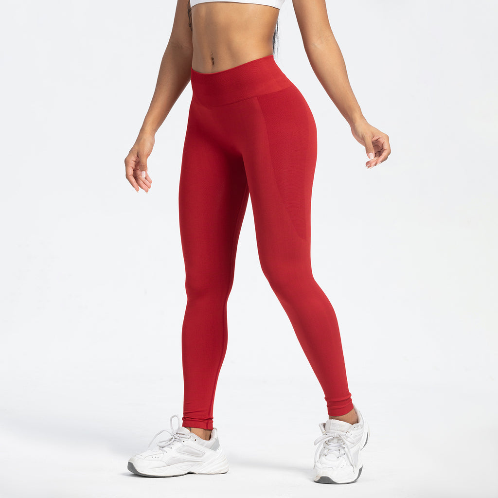 Seamless High-Waist Yoga Pants for Women - Moisture-Wicking Fit